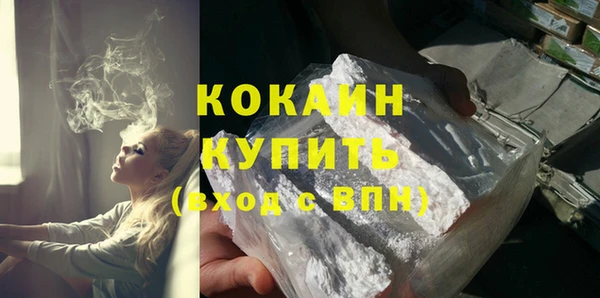 твердый Пересвет