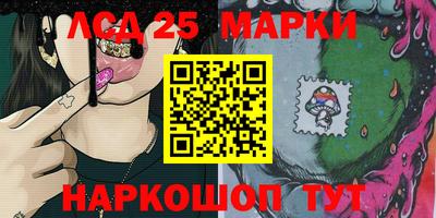 спиды Гатчина