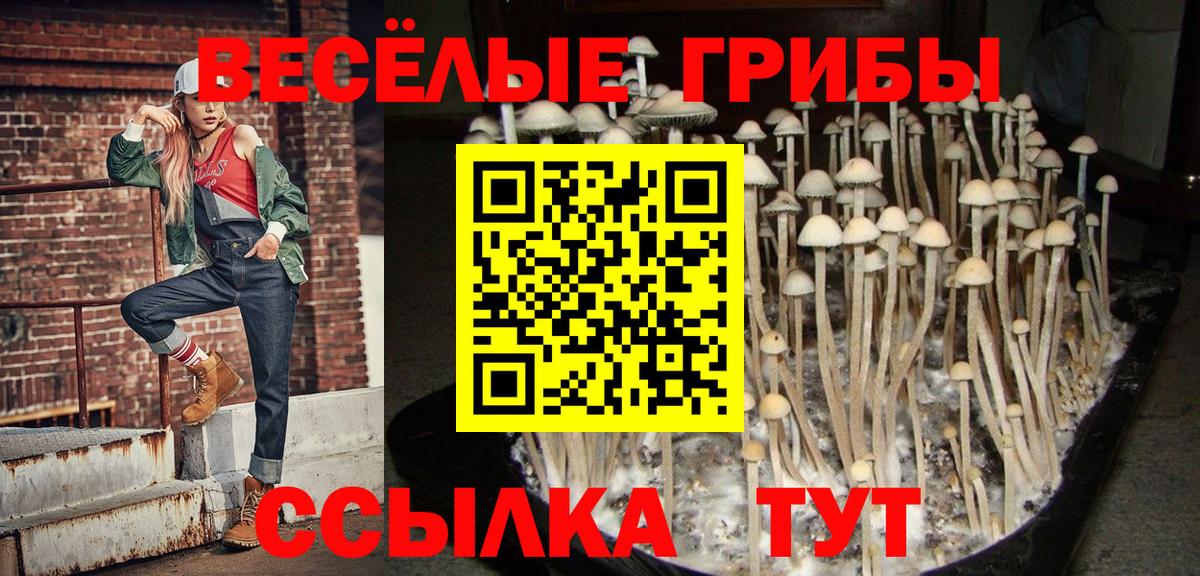 Губаха  купить наркотик  Вход с VPN  Галлюциногенные грибы прущие грибы 
