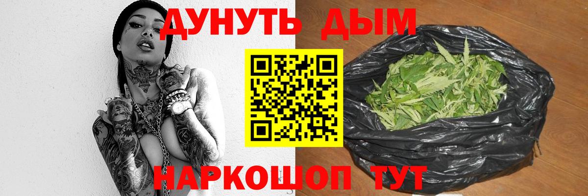 Шишки марихуана сатива  Губаха  Конопля семена  Канабис AK-47 